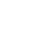 bobcat